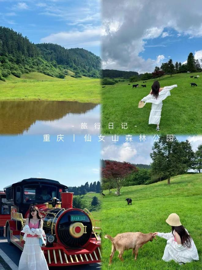 导游推荐最实惠的游玩价格分享诚心分享麻将胡了免费试玩重庆本地旅行团报名(图3)