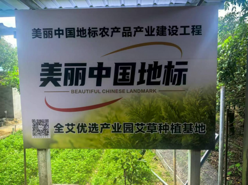 全艾优选荣膺 “美丽中国地标农产品”PG电子麻将胡了模拟器千年罗浮艾韵扬(图2)