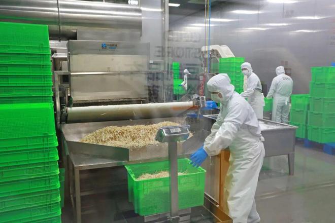 0天后贾国龙首次回应：我错了！麻将胡了2试玩模拟器沉默10(图7)